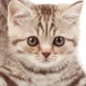 sze profil fotoğrafı