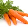 Profilbild von 🥕