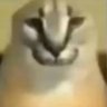 z1432's profile picture