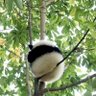 ชะนีว่างๆ's profile picture