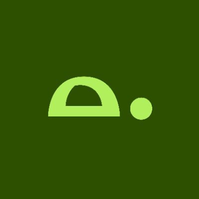tortoise's profile picture