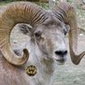 Profilbild von éèã(æ«ä»£)ðð