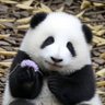 cxc's profile picture
