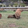 yamakutibeta 🌵🍞📺 profil fotoğrafı