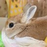 まろ's profile picture