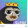 Slerfighting profil fotoğrafı