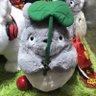 碧水微澜君 profil fotoğrafı