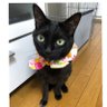 ãã's profile picture