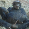 Monkey Magic's profile picture