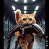 Tom profil fotoğrafı