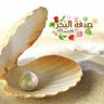 Profilbild von صدفة البحر.