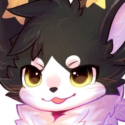 Raincat's profile picture