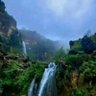 مبارك شعفان profil fotoğrafı