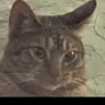 Profilbild von Tony jhons