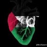 Eva🇵🇸❤️🇵🇸✊ profil fotoğrafı