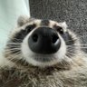 FaX15214's profile picture