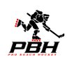 Pro Beach Hockey 的头像