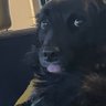 luiza profil fotoğrafı