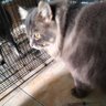 Helda Jihan profil fotoğrafı