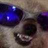Profilbild von LOFTJET