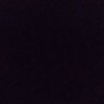 Thiago Pereira's profile picture