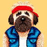 Profilbild von CHUCK