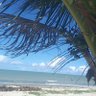 casalmassa de recife profil fotoğrafı