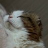 Profilbild von Cheri