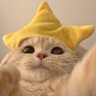 (⁠*⁠˘⁠︶⁠˘⁠*⁠)⁠.⁠｡⁠*⁠♡ profil fotoğrafı