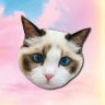 Benji on Solana 的头像
