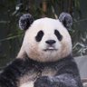 創建你的賬號 的头像