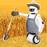 Profilbild von CrimBot