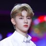 young 的头像