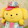 もも's profile picture