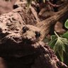 Фото профиля GALAHAD