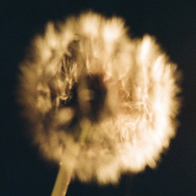 Climb The Mind's profile picture