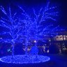 ちゅうたん 的头像