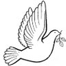 白鸽 profil fotoğrafı