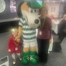 Colin Kerr's profile picture