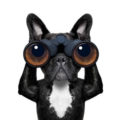 Sutex97's profile picture