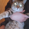Profilbild von あ様