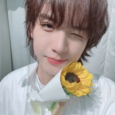 양갱수갱's profile picture