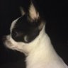 Fabienne Noblecourt's profile picture