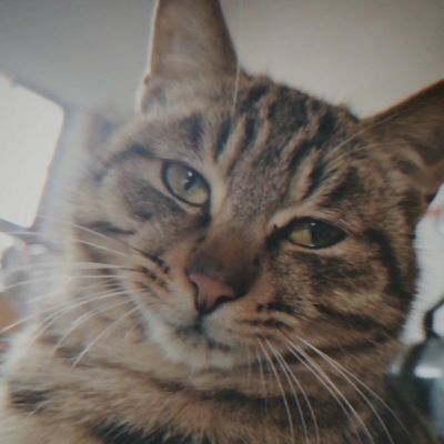 ZhangRui199572's profile picture