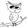 Profilbild von ObserveOwl