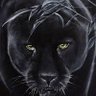 RilkeDerPanther profil fotoğrafı