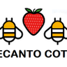 Sergio bot (Recanto Cotia.) 的头像