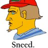 Texan Sneed's profile picture