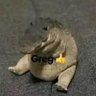 gregMF69420's profile picture