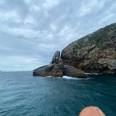MacaeInversao's profile picture